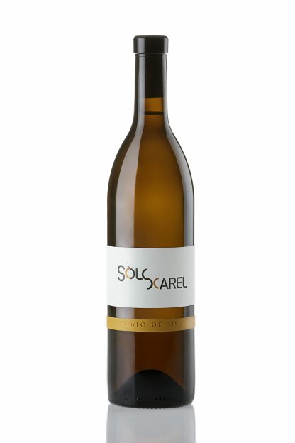 SÒLSXAREL 2021 "CLÀSSIC" - Imagen 2